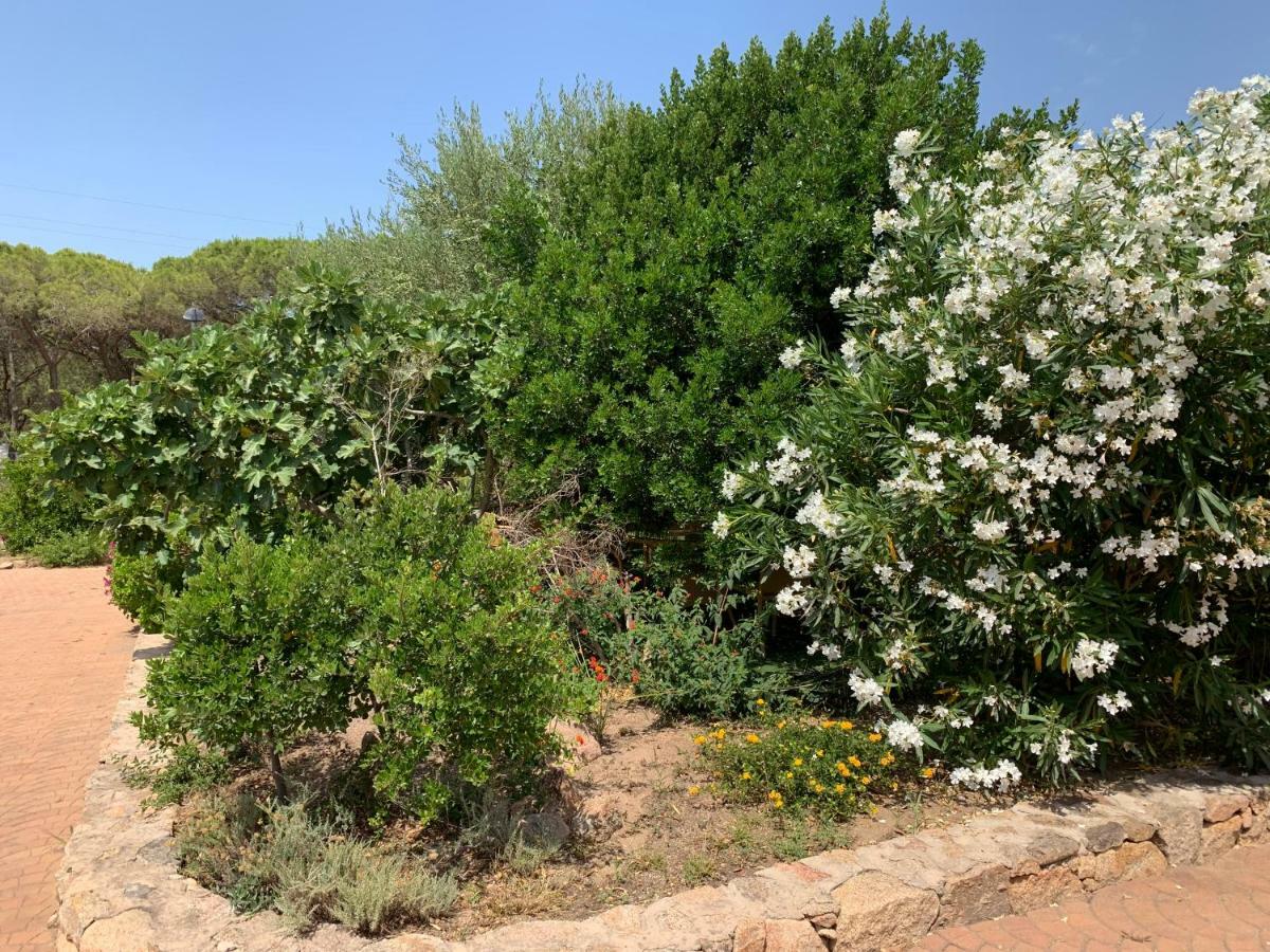 劳格诺多罗俱乐部酒店 Olbia Tempio 外观 照片